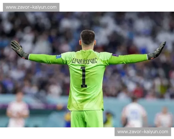 潘帕斯雄鹰的低语：2014世界杯，巴西与日本的未尽之约